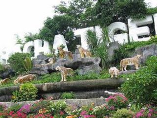 【常规泰国】曼谷、芭提雅5晚7天双岛游,参观东方公主号、梦幻巧克力小镇、龙虎园